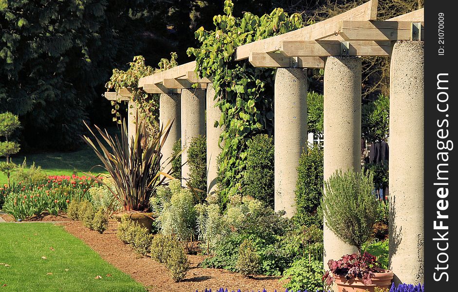 Pillars in a Greek style garden