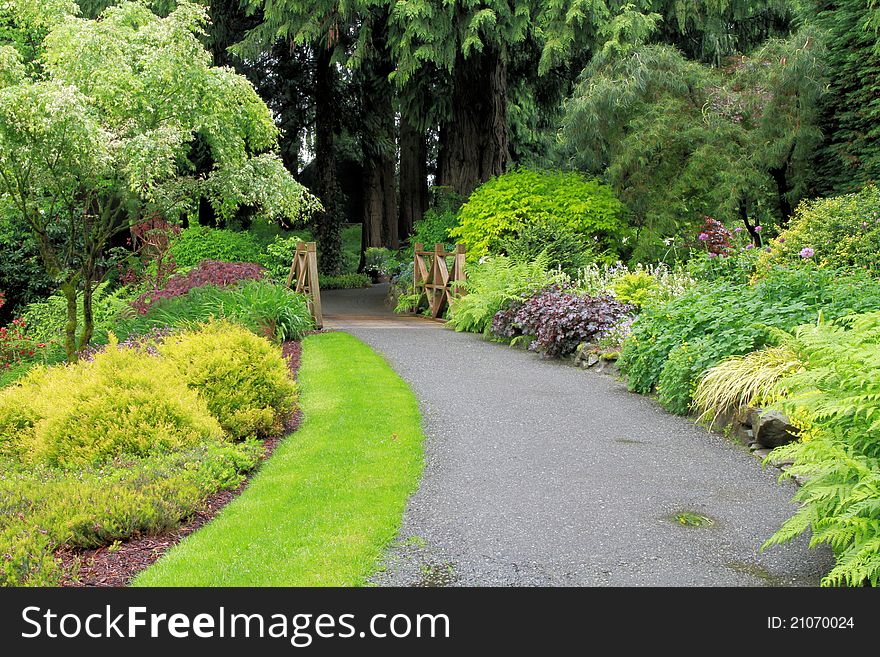 A tranquil path in a park surrounded by lush green plants and trees.