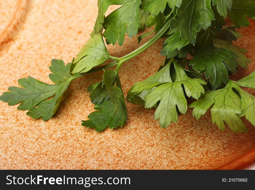 Twig of parsley nature food texture background. Twig of parsley nature food texture background