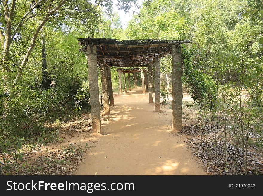 Covered Pathway in an artificial Jungle