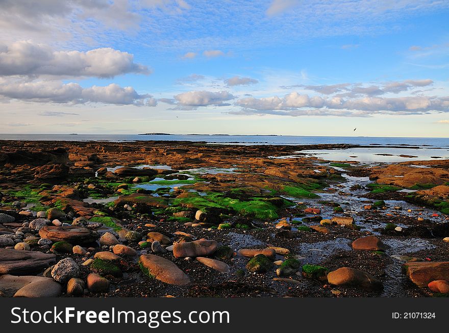 A small group of Islands off the Northumbrian coast. A small group of Islands off the Northumbrian coast.