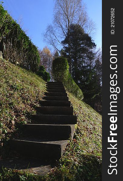 Stairs in the garden