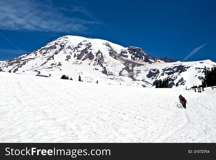 Hikers slowly climbing up Mount Rainier on the way to Camp Muir, base camp for summiting the majestic mountain. Hikers slowly climbing up Mount Rainier on the way to Camp Muir, base camp for summiting the majestic mountain.