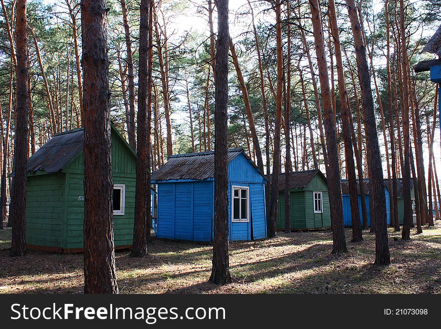 Small private wooden cabins in a pine forest on a summer day. Small private wooden cabins in a pine forest on a summer day