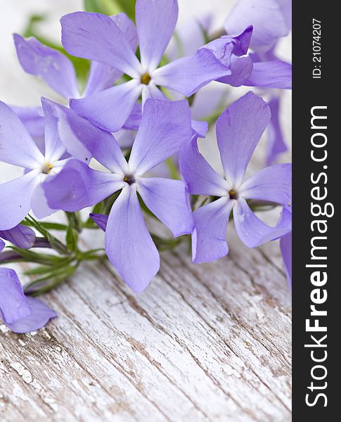 Beautiful blue flowers on wooden background. Natural light. Beautiful blue flowers on wooden background. Natural light