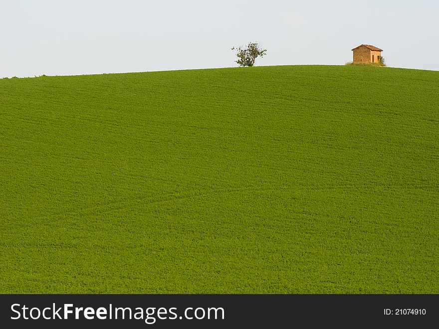 A green field with a small house in Italian countryside