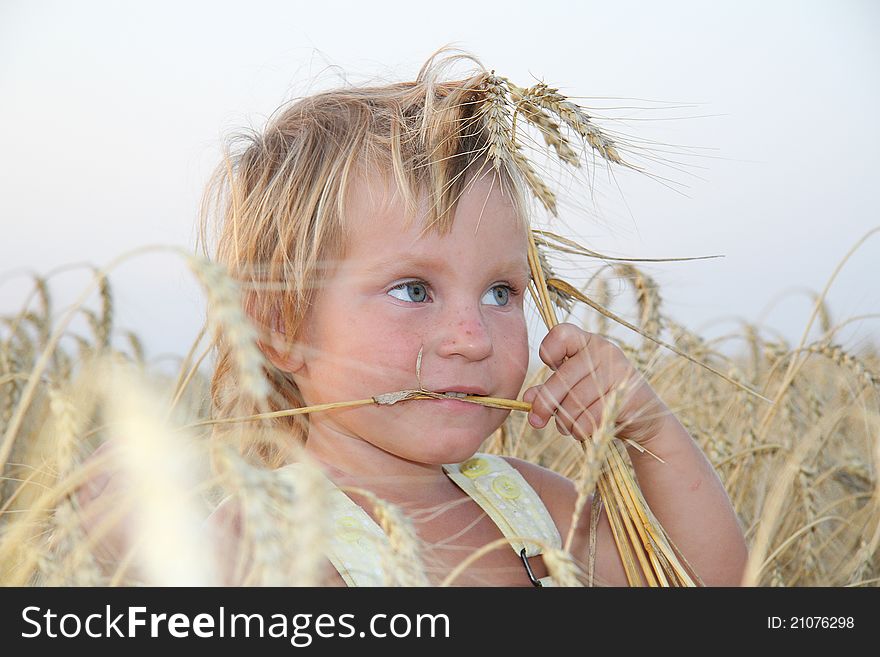 Cute child in yellow field. Cute child in yellow field
