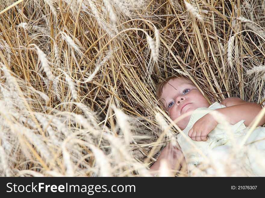 Cute child resting in wheat field. Cute child resting in wheat field