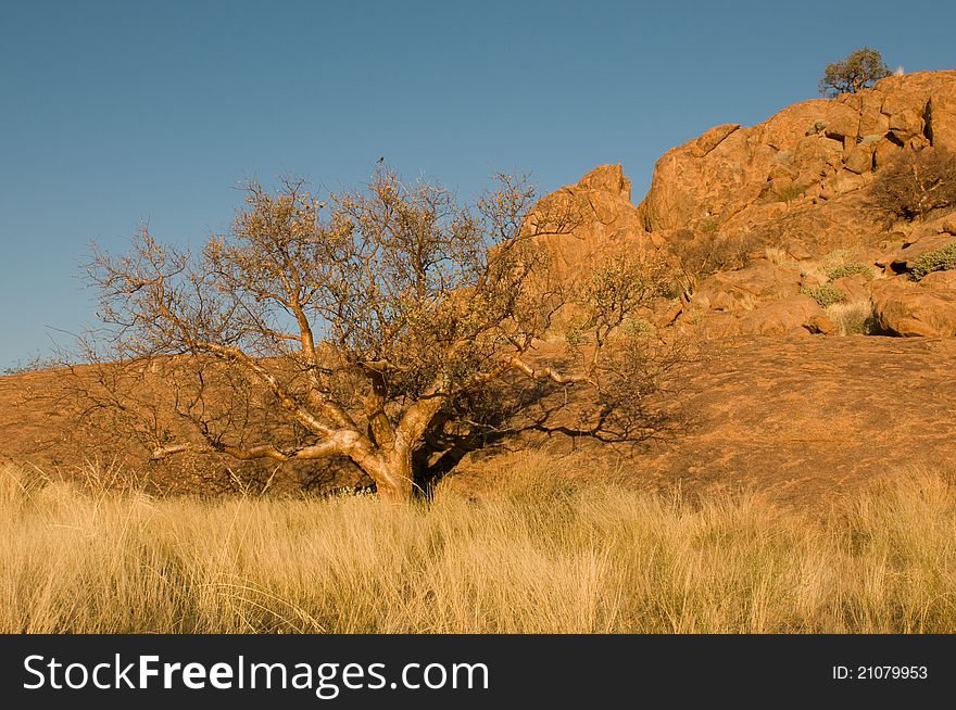 Namibian Landscape