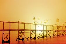 Gulls Fly On The Pier Royalty Free Stock Photo Gulls Fly On The Pier Royalty Free Stock Photo