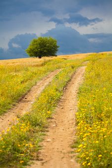 Overcast Landscape Stock Photography Overcast Landscape Stock Photography