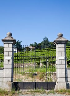 Italian Charming Villa In Vineyard Stock Photos Italian Charming Villa In Vineyard Stock Photos