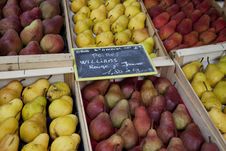 Selection Of Pears Royalty Free Stock Photos Selection Of Pears Royalty Free Stock Photos