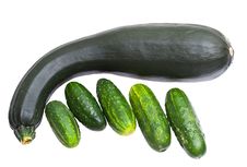 Zucchini And Cucumbers Stock Images