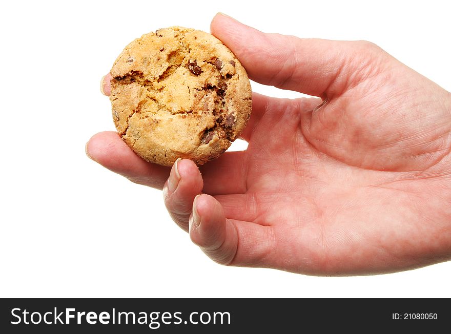 Closeup of a hand holding a chocolate chip cookie isolated against white. Closeup of a hand holding a chocolate chip cookie isolated against white