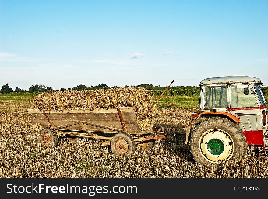Folding sheaves of hay up to the old cart attached to the old tractor. Folding sheaves of hay up to the old cart attached to the old tractor