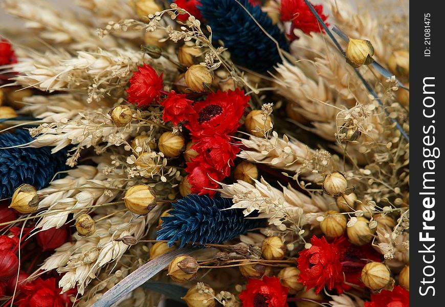 Dried Flowers