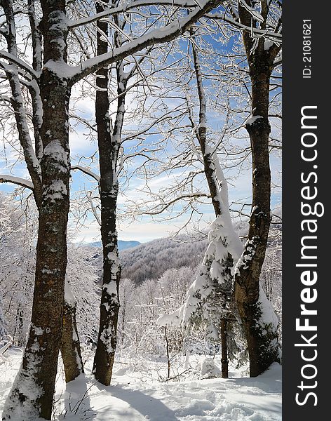 Mountain landscape with nice snow