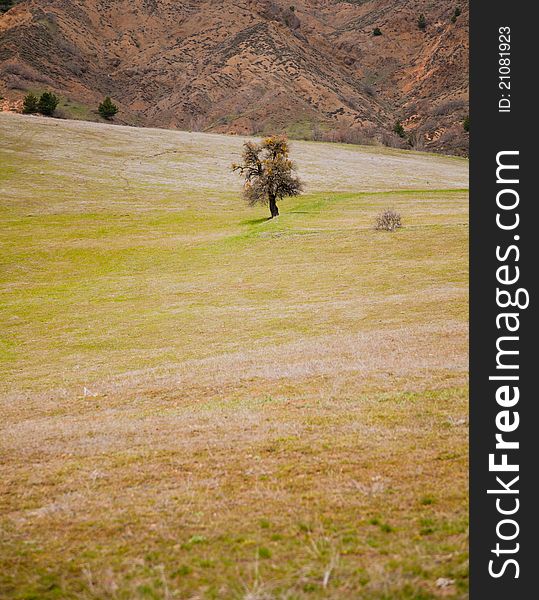 Rural landscape in Turkey