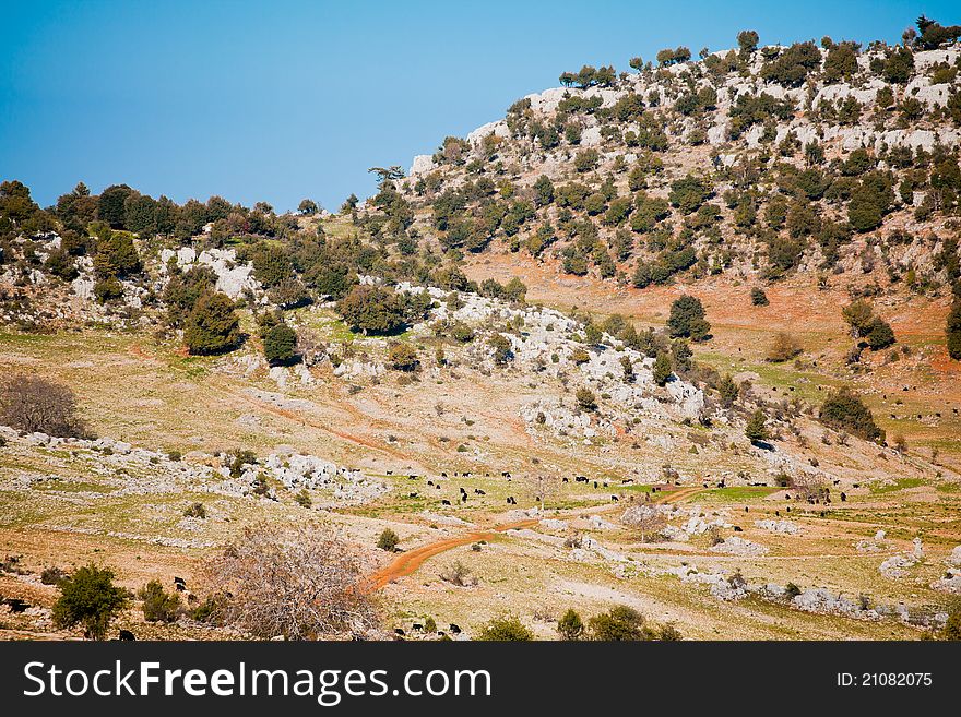 Rural landscape in Turkey