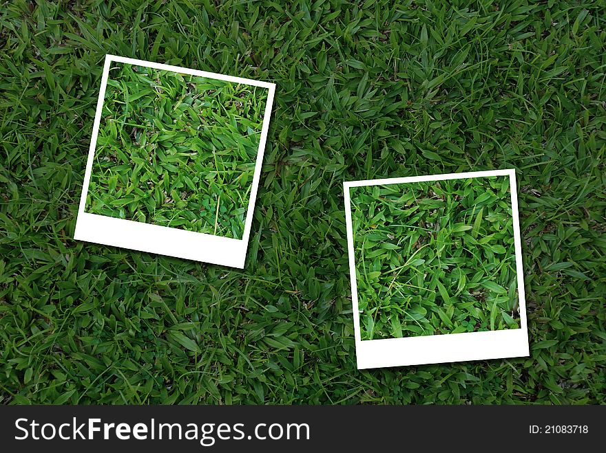 Photo frames from green grass pattern.