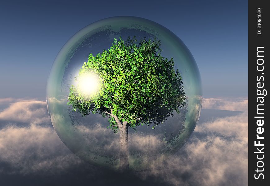 A green tree in a transparent bubble. A green tree in a transparent bubble