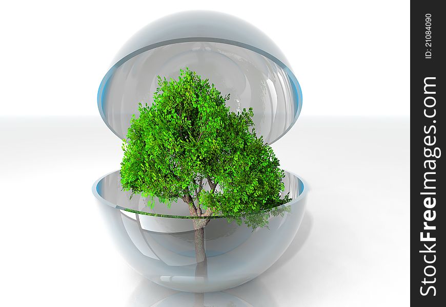 A green tree in a transparent bubble. A green tree in a transparent bubble