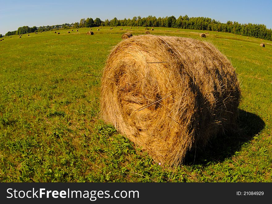 Field and haystack near Ryazan