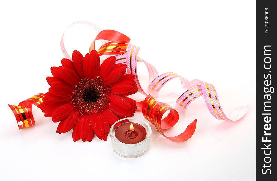 Fine flowers and candles on a white background