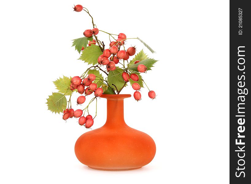 Autumn bouquet with berries of hawthorn in a glass vase on a white background