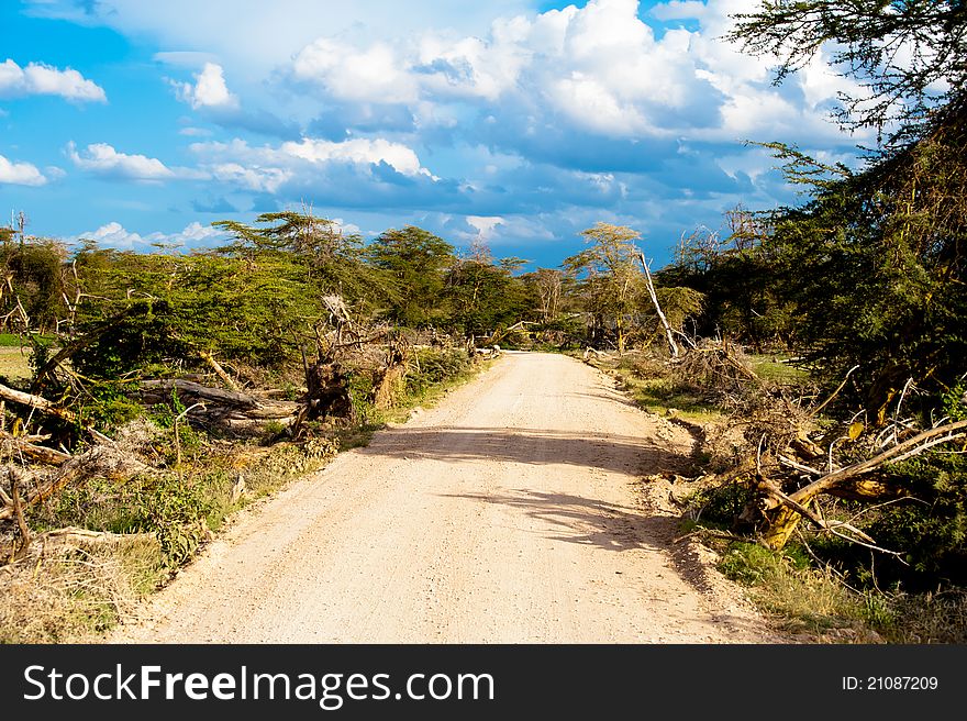 Safari road in Kenya