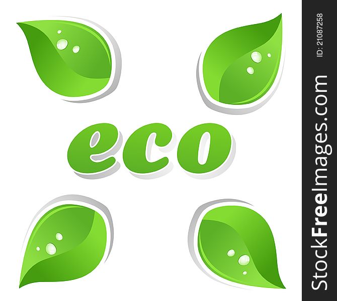 Ecology and green leafs of a plant. A vector illustration. Ecology and green leafs of a plant. A vector illustration