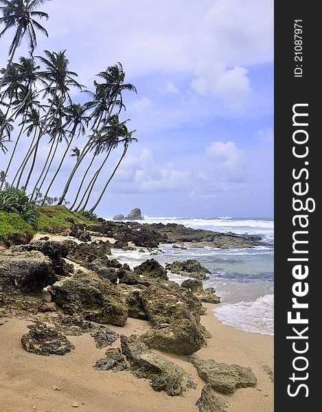 Beautiful Unawatuna beach in Sri Lanka