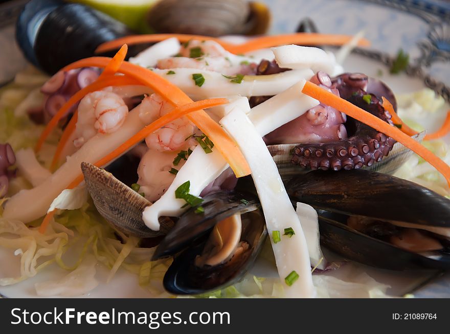 Appetizer seafood salad with mussels, clams, squid, octopus and shrimp. Appetizer seafood salad with mussels, clams, squid, octopus and shrimp