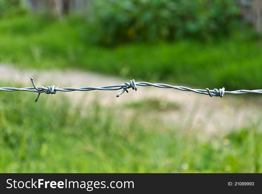 Barbed wire with green grass outdoor