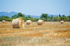 Haystack On A Field Royalty Free Stock Photography