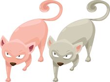 Cat Vector Royalty Free Stock Photography Cat Vector Royalty Free Stock Photography