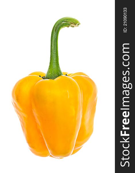 Yellow peppers on a white