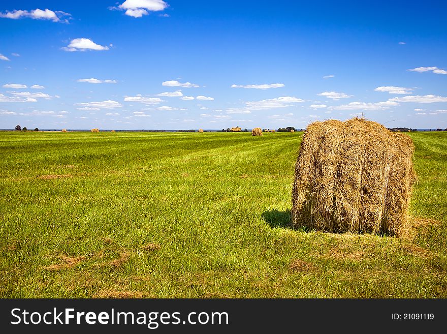 The stack of straw lying on an agricultural field, on which ambassador of cleaning of cereals the grass has grown. The stack of straw lying on an agricultural field, on which ambassador of cleaning of cereals the grass has grown