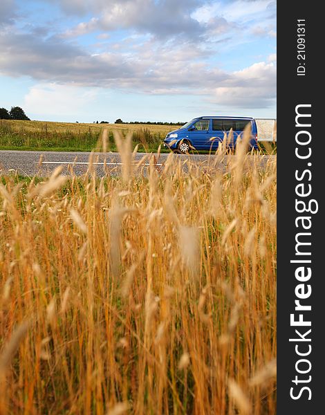 Landscape of ripe wheat field and blue delivering van. Landscape of ripe wheat field and blue delivering van.