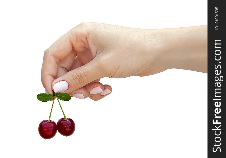 Female hand holding a sprig of cherries. Female hand holding a sprig of cherries