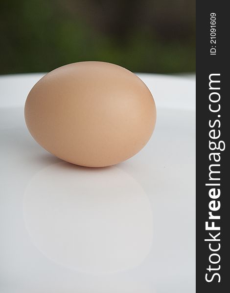 AlimentÃ§Ã£o an egg and nutrition.