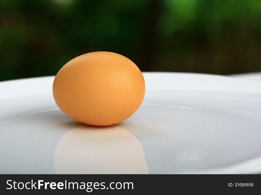 An egg to food and nutrition.