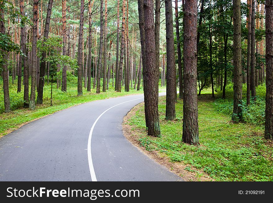 Road curvature in park. The road is intended for movement of pedestrians. Road curvature in park. The road is intended for movement of pedestrians