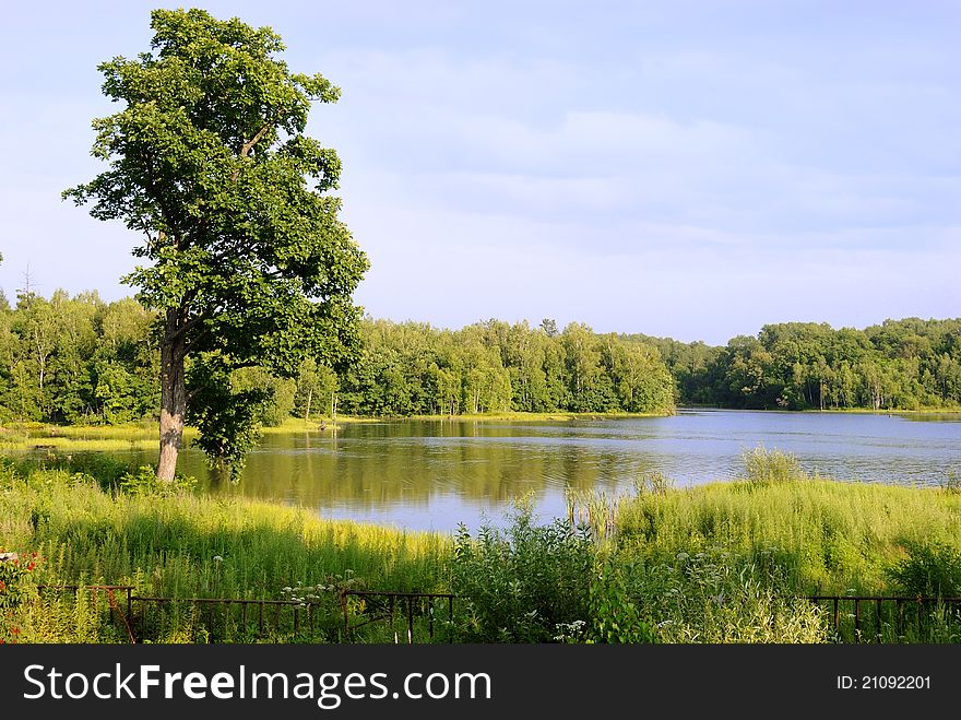 Pure lake in a taiga of the Far East