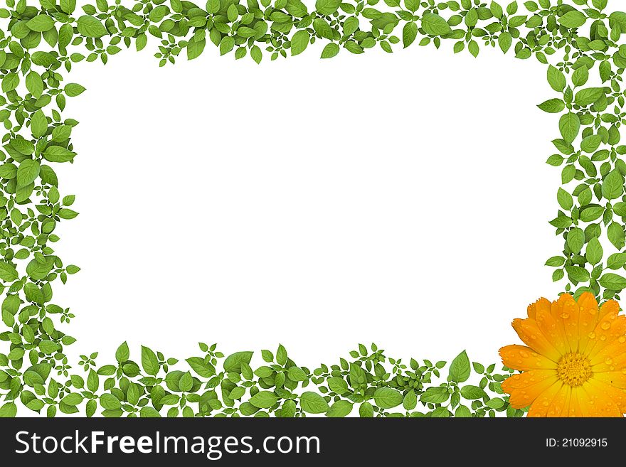 Green plant frame with yellow flowers.