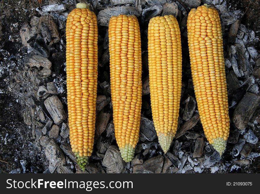 Corns in barbecue in abant