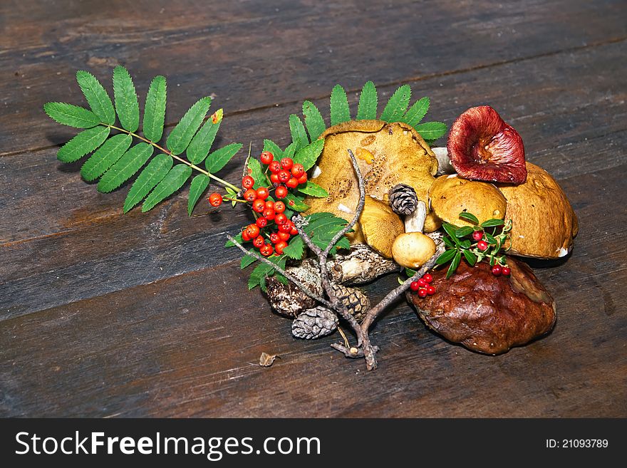 Mushrooms and branch of a mountain ash with berries