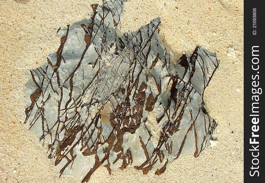 Natural patterns on a rock framed by beach sand on an island in Thailand. Natural patterns on a rock framed by beach sand on an island in Thailand