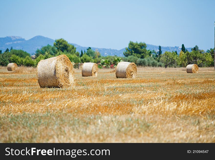 Haystack On A Field